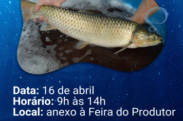 Feira do Peixe Vivo acontece na próxima quarta-feira 