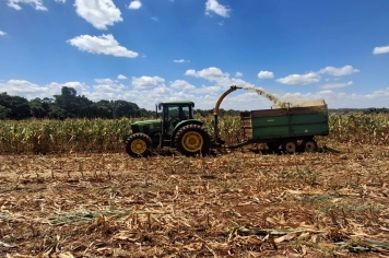 Confecção de silagem se aproxima dos 40 hectares 