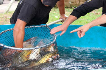Prefeitura planeja retomada da Feira do Peixe Vivo