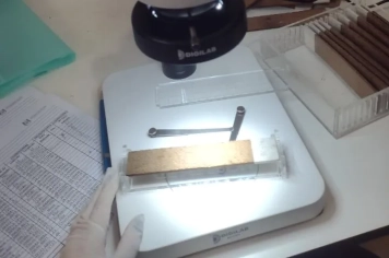 Saúde de Ajuricaba mantém alerta após nova leitura das ovitrampas 