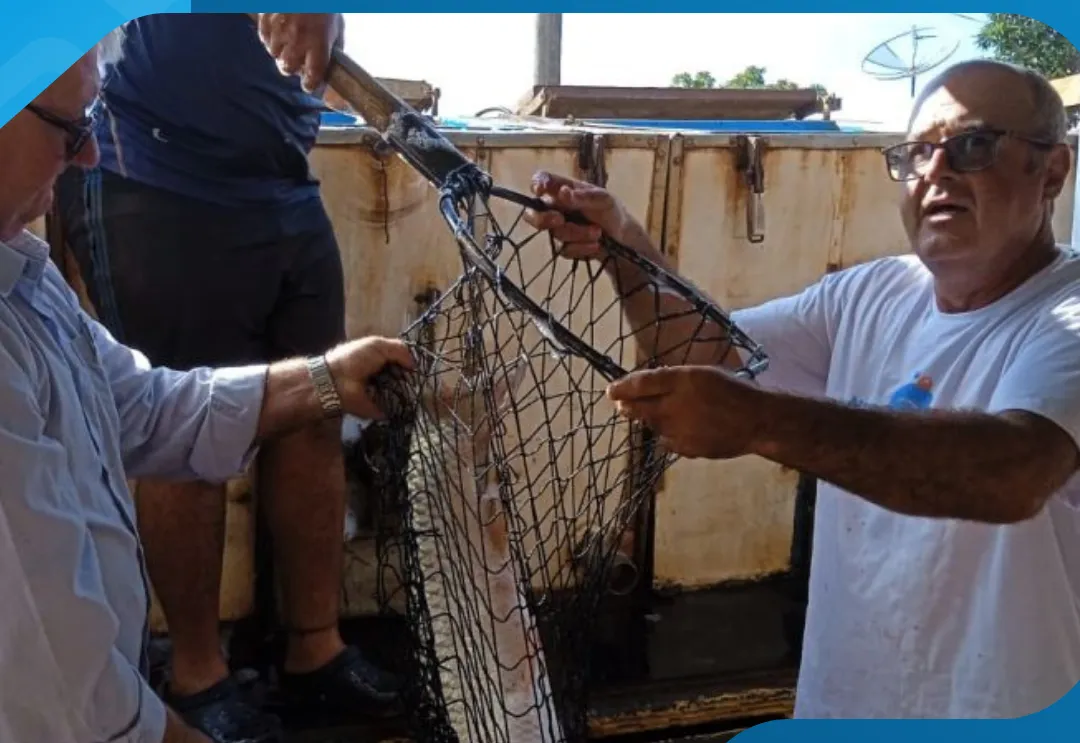 Feira do Peixe vivo acontece na Semana Santa